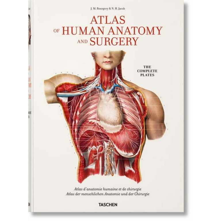 atlas of human anatomy and surgery 解剖学書 atlas of human anatomy and surgery 解剖学書 atlas of human