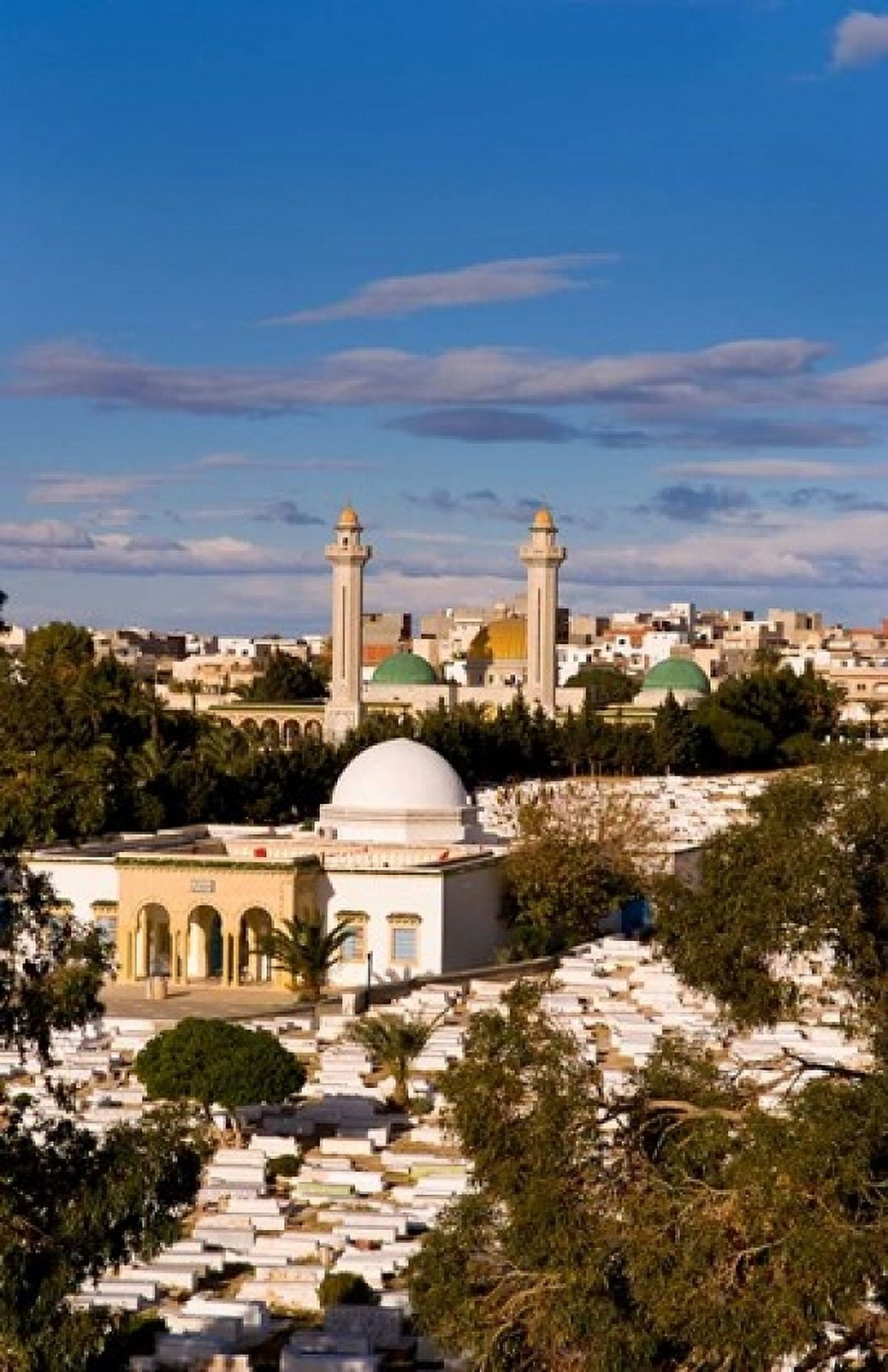 Bourguiba Mausoleum and cemetery in Sousse Monastir Tunisia Africa Canvas Art - Bill Bachmann DanitaDelimont (11 x 17)