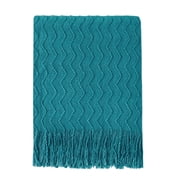 Bourina Weave Teal Throw Blanket for Couch Sofa, Suitable for Adult, Soft and Lightweight, 50"⨉60"
