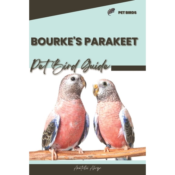 Bourke's Parakeet: Pet bird guide, (Paperback)