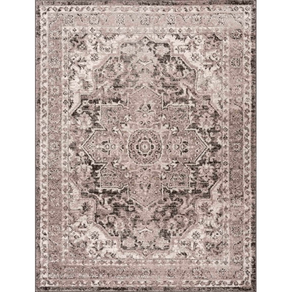 BoutiqueRugs Albie Farmhouse Area Rug - Charcoal, Beige - 2' x 3'