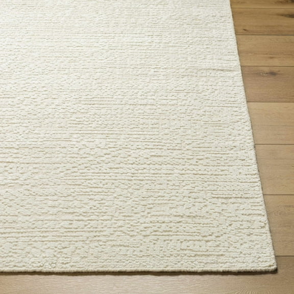 BoutiqueRugs Aniya Contemporary Area Rug - Light Gray, Cream - 2' x 3'