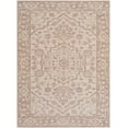 thumbnail image 1 of BoutiqueRugs Ansgar Traditional Area Rug - Machine Washable - Beige, Taupe, Ivory - 27" x 45", 1 of 6