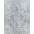 thumbnail image 1 of BoutiqueRugs Aquino Traditional Medallion Extra Large Area Rug - Oriental Floral Performance Rug for Living Room, Bedroom - Machine Washable - Blue, Sage, Gray - 8'10" x 12' (9x12), 1 of 13