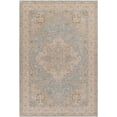 thumbnail image 1 of Boutique Rugs Arjun Traditional Bordered Area Rug - Taupe, Medium Gray, Dark Brown - 7'10" x 10'2", 1 of 13