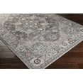 thumbnail image 1 of BoutiqueRugs Banstead Traditional Area Rug - Outdoor Safe - Light Gray, Black, Medium Gray - 6'7" x 9', 1 of 6