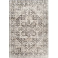 thumbnail image 1 of BoutiqueRugs Bevin Traditional Area Rug - Machine Washable - Natural Gray, Taupe, Smoke - 2' x 2'11", 1 of 10