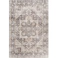 thumbnail image 1 of BoutiqueRugs Bevin Traditional Area Rug - Machine Washable - Natural Gray, Taupe, Smoke - 3'6" x 5'6", 1 of 10