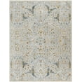 thumbnail image 1 of BoutiqueRugs Bornova Traditional Area Rug - Denim, Light Gray, Cream - 2'7" x 3'11", 1 of 16