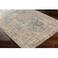 thumbnail image 1 of Boutique Rugs Bulualto Traditional Area Rug - Ivory, Tan, Light Gray - 10' x 13'11", 1 of 8