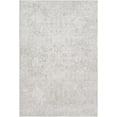 thumbnail image 1 of BoutiqueRugs Canaseraga Traditional Area Rug - Light Gray, Off White - 5'3" x 7'3", 1 of 12