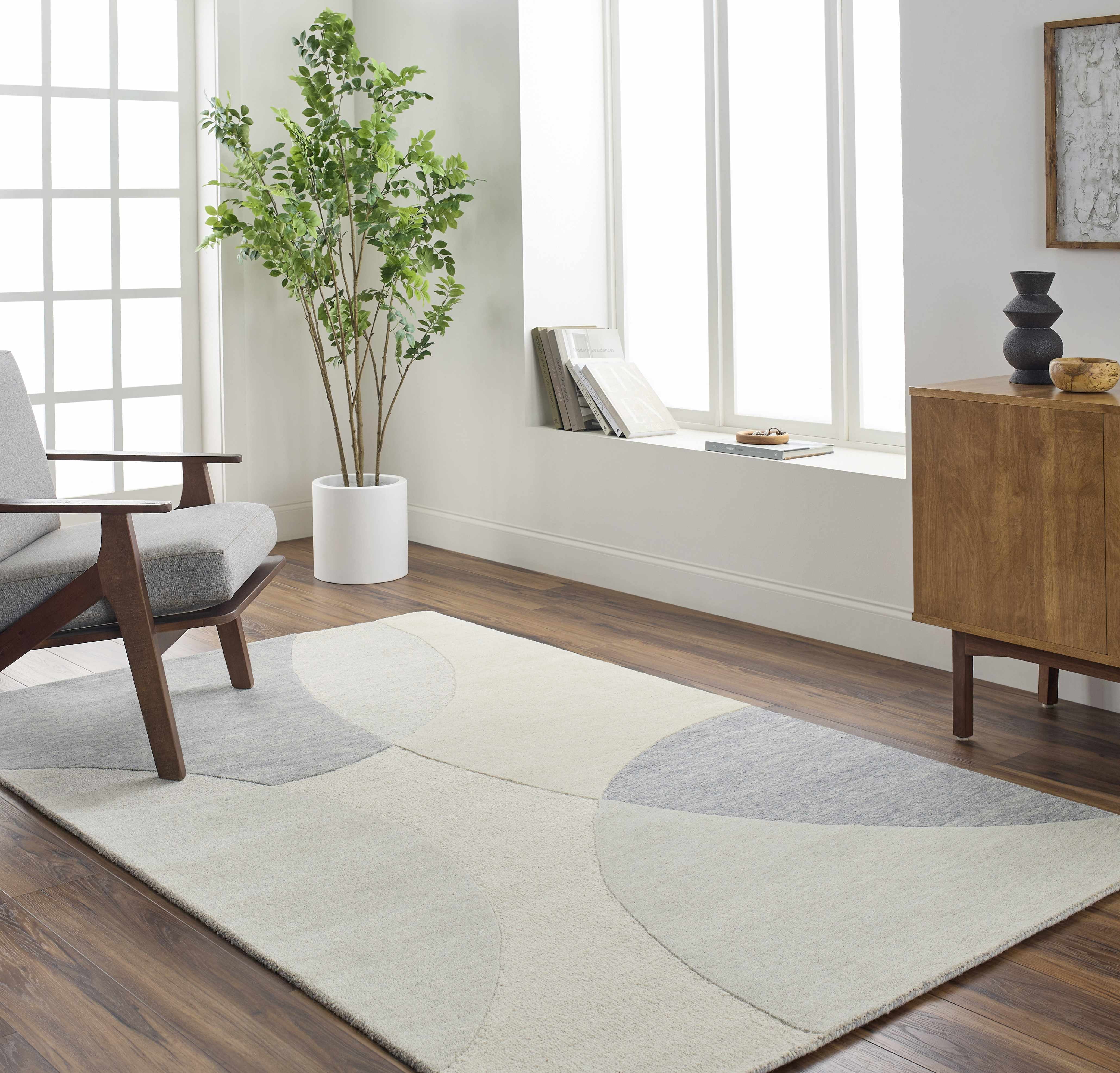 BoutiqueRugs Cassiopeia Contemporary Area Rug - Light Silver, Light ...