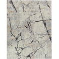 thumbnail image 1 of BoutiqueRugs Cavetown Abstract High Pile Marble Area Area Rug - Ivory, Beige, Tan - 2' x 2'11", 1 of 7