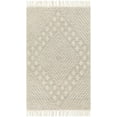 thumbnail image 1 of BoutiqueRugs DAMA Traditional, Transitional Area Rug - Ivory, Black - 27" x 45", 1 of 8