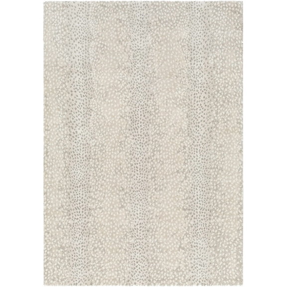 BoutiqueRugs Daiva Contemporary Area Rug - Bone, Dark Gray, Cloud Gray - 4'3" x 5'11"