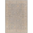 thumbnail image 1 of BoutiqueRugs Dally Traditional Area Rug - Medium Gray, Taupe, Charcoal - 7'10" x 10'2", 1 of 7