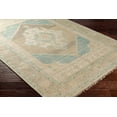thumbnail image 1 of BoutiqueRugs Danao Traditional Area Rug - Beige, Sage, LightSage - 18" x 18" Sample, 1 of 10