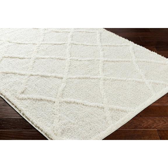 BoutiqueRugs Daube Contemporary Area Rug - Beige, White - 5'3" x 7'