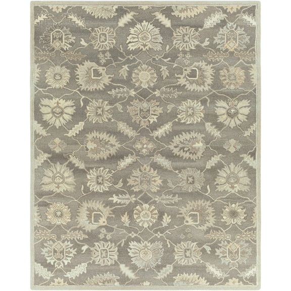 BoutiqueRugs Dulles Traditional Area Rug - Taupe, Charcoal, Black - 5' x 8'