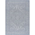 thumbnail image 1 of BoutiqueRugs Earlsfield Traditional Area Rug - Gray, Light Gray, Medium Gray - 6'7" x 9'6", 1 of 19