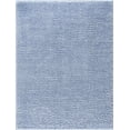 thumbnail image 1 of BoutiqueRugs Faina Aqua Washable Shag Area Rug - Machine Washable - Aqua - 5'3" x 7', 1 of 16
