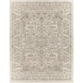 thumbnail image 1 of BoutiqueRugs Frenchburg Traditional Area Rug - Black, Tan, White - 5'3" x 7'7", 1 of 7