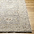 thumbnail image 1 of Boutique Rugs Giang Traditional Area Rug - Beachhouse, Gray, Multi Brown - 9' x 12'2", 1 of 9