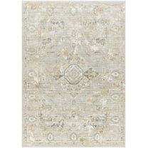 BoutiqueRugs Gioia Traditional Area Rug - Bone - 2' x 2'11"