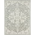 thumbnail image 1 of Boutique Rugs Greeneville Oriental Medallion Area Rug - Farmhouse Traditional Floral Carpet for Living Room - Sage, Cream, Gray - 5'3" x 7'3" (5x7 Area Rugs), 1 of 12