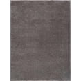 thumbnail image 1 of BoutiqueRugs Heavenly Contemporary Area Rug - Gray - 2' x 3', 1 of 12