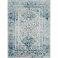 thumbnail image 1 of BoutiqueRugs Inkom Traditional Area Rug - Blue, Light Gray, White - 6'11" x 9', 1 of 19