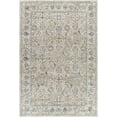 thumbnail image 1 of BoutiqueRugs Jeven Traditional Area Rug - Natural Gray - 6'7" x 9'6", 1 of 9