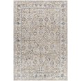 thumbnail image 1 of BoutiqueRugs Jeven Traditional Area Rug - Natural Gray - 9' x 12'2", 1 of 9