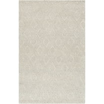 BoutiqueRugs Kasib Traditional, Transitional Area Rug - Light Gray - 2' x 3'