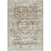 BoutiqueRugs Kazou Traditional Area Rug - Natural Gray - 2' x 2'11"