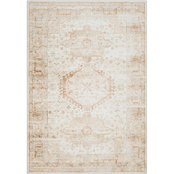 BoutiqueRugs Laran Traditional Area Rug - Machine Washable - Light Silver, Light Gray, Ash - 2' x 2'11"