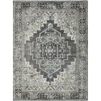 BoutiqueRugs Manaring Traditional Area Rug - Charcoal, Light Blue, Dark Red - 3'11" x 5'7"