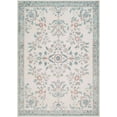 thumbnail image 1 of BoutiqueRugs Meyly Traditional Area Rug - Machine Washable - Light Silver, Silver Gray, Sterling Gray - 7'6" x 9'5", 1 of 8