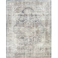 thumbnail image 1 of BoutiqueRugs MignonVintage Traditional Medallion Oversized Area Rug - Oriental Floral Performance Carpet for Living Room, Bedroom - Machine Washable - Sage, Brown, Cream - 8'10" x 12' (9x12), 1 of 10