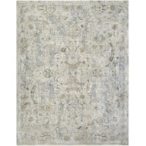 BoutiqueRugs Nasir Traditional Area Rug - Light Gray, Medium Brown, Cream - 10' x 13'11"