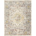 thumbnail image 1 of BoutiqueRugs Newkirk Traditional Area Rug - Taupe, Gray, Charcoal - 6'7" x 9', 1 of 13