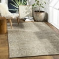 thumbnail image 1 of BoutiqueRugs Pharr Traditional Area Rug - Medium Gray, Light Sage, Peach - 18" x 18" Sample, 1 of 5