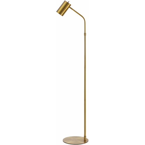 BoutiqueRugs Pielavesi Floor Lamp for Living Room - Iron Modern Minimalist Standing Ligting - Gold - 62'' H