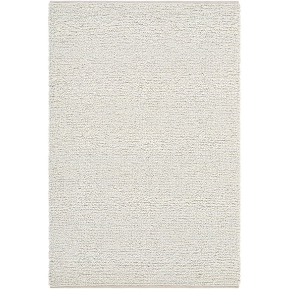 BoutiqueRugs Priya Traditional, Transitional Area Rug - Light Silver, Pale Slate, Ash - 5' x 7'6"