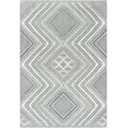thumbnail image 1 of BoutiqueRugs Queanbeyan Bohemian, Transitional Area Rug - Black, White, Gray - 2'2" x 3'9", 1 of 8