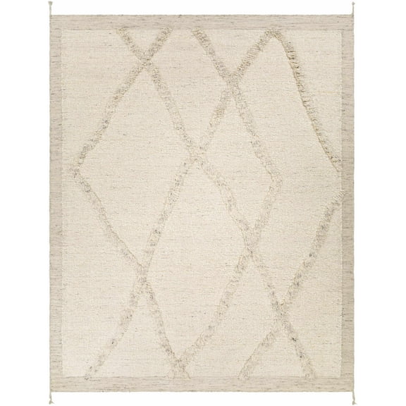 BoutiqueRugs Soto Bohemian, Transitional Area Rug - Cream, Charcoal, Beige - 2' x 3'