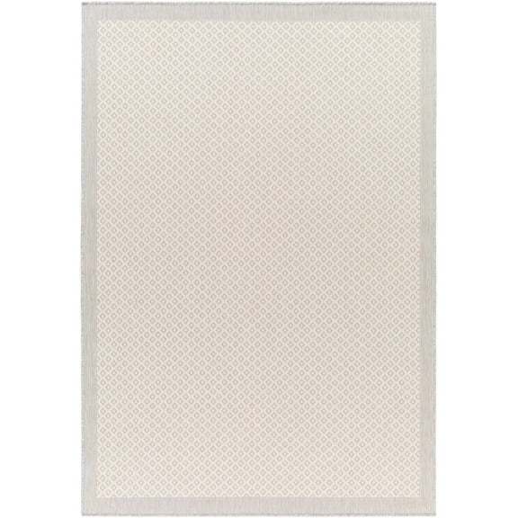 BoutiqueRugs Indoor/Outdoor Ivory Bordered 5x7 Area Rug Contemporary Bone Cloud Gray Nutmeg Smoke Geometric Suzu Living Room Bedroom Dining Room Home Office Apartment 5'3" x 7' Stain Resistant