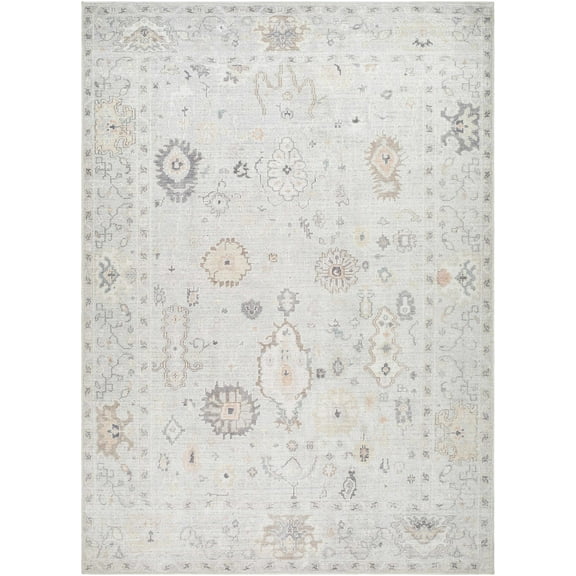 BoutiqueRugs Taryn Traditional Area Rug - Light Slate, Gray, Tan - 5'2" x 7'