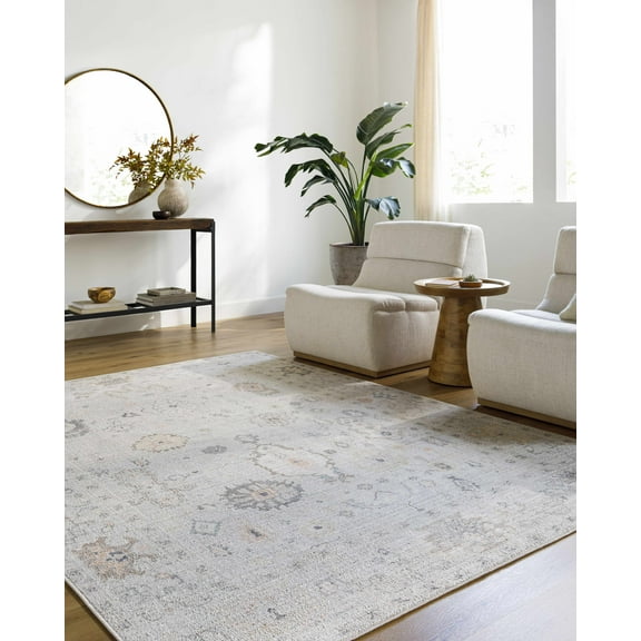 BoutiqueRugs Taryn Traditional Runner Rug - Light Slate, Gray, Tan - 2'7" x 7'3" Runner