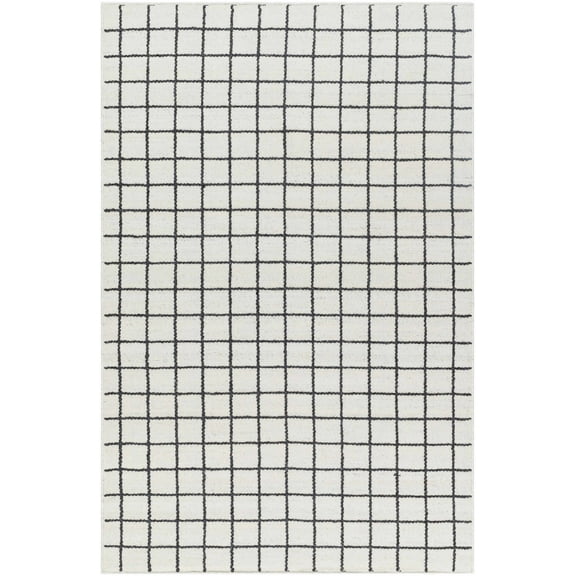 BoutiqueRugs Tauri Traditional, Transitional Area Rug - Ivory, Charcoal - 2' x 3'